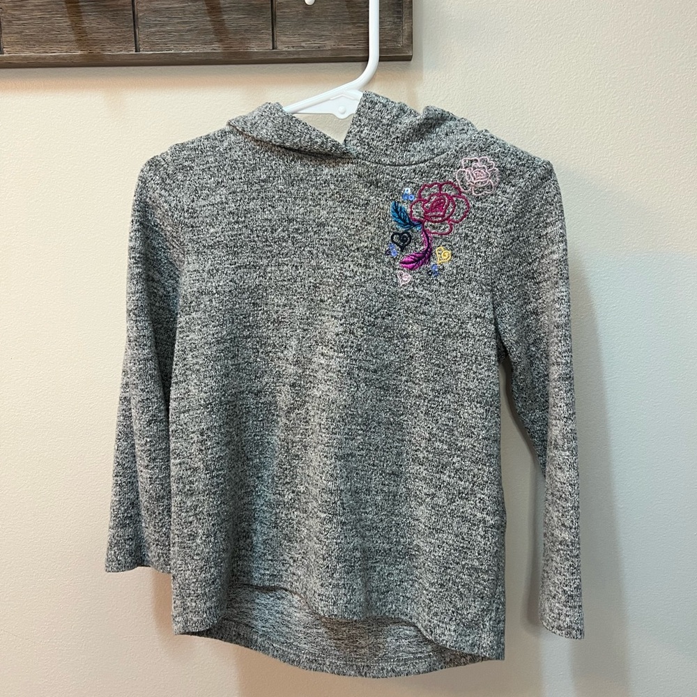 Flapdoodles embroidered 3T hooded sweater